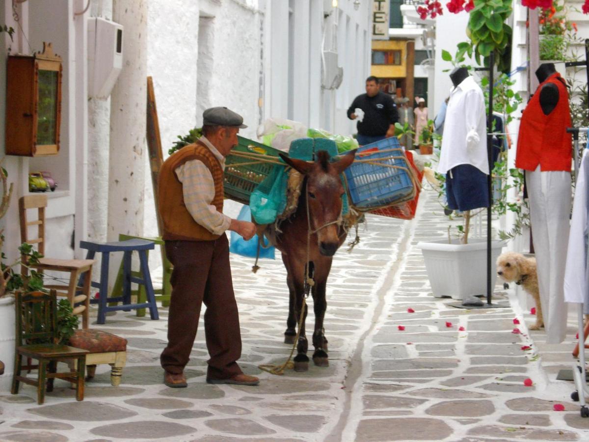 Aparthotel Sunloft-Paros Nausa Zewnętrze zdjęcie