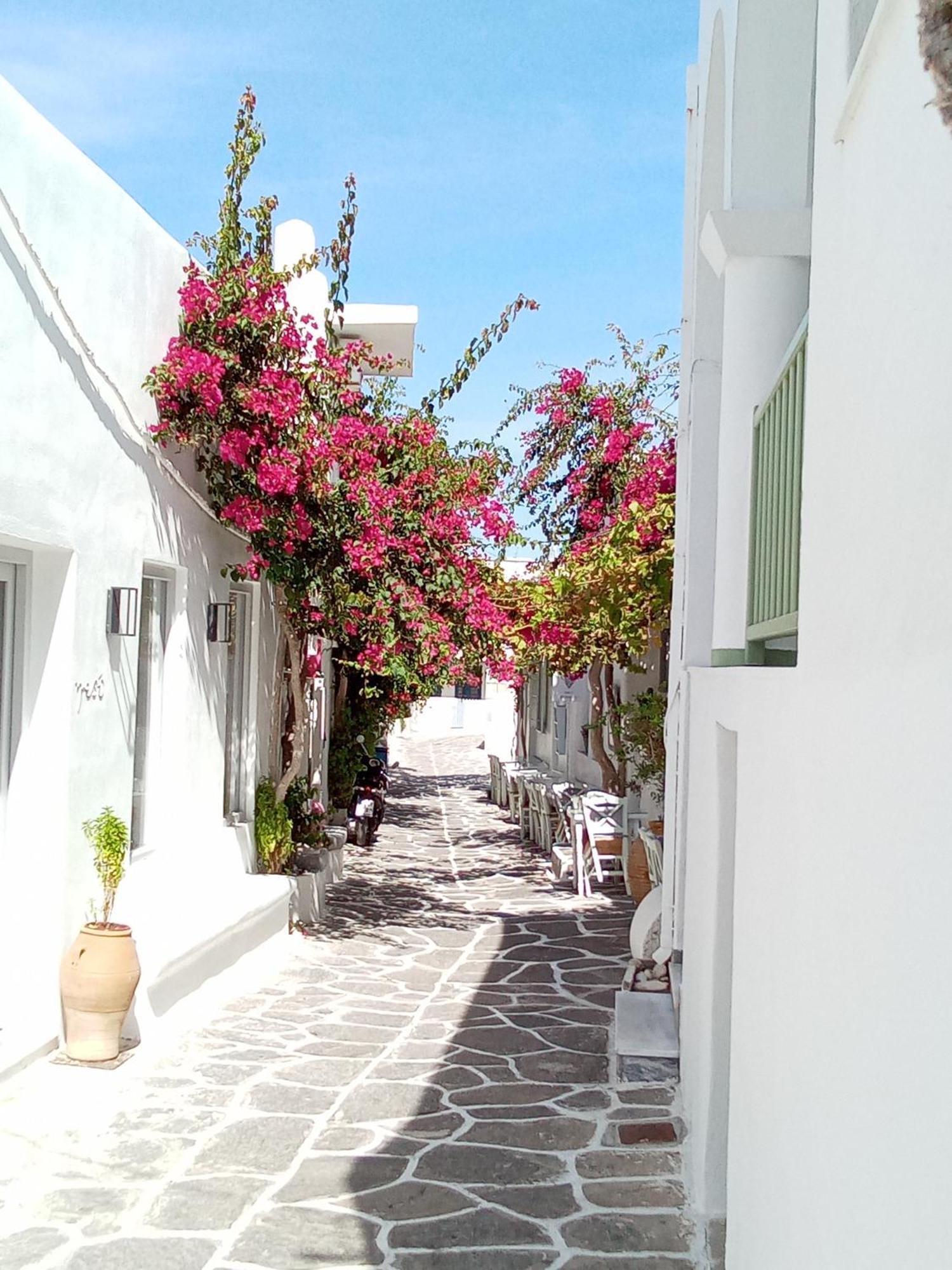 Aparthotel Sunloft-Paros Nausa Zewnętrze zdjęcie